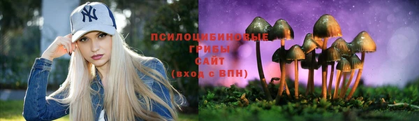 Альфа ПВП Грязовец