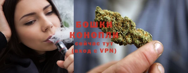 прущая мука Няндома