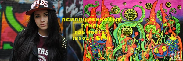 гашик Осинники
