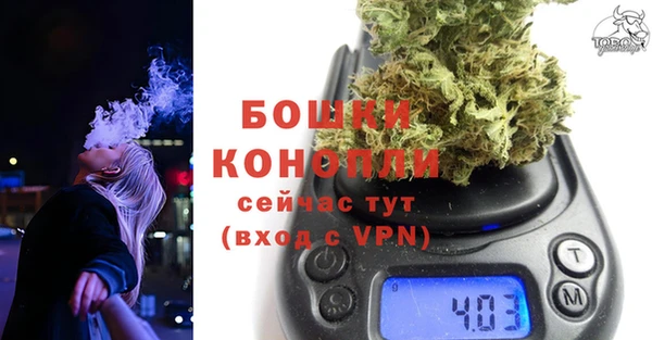прущие крисы Губаха