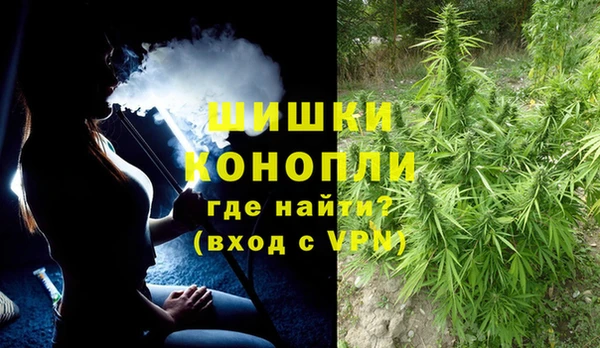 Альфа ПВП Грязовец