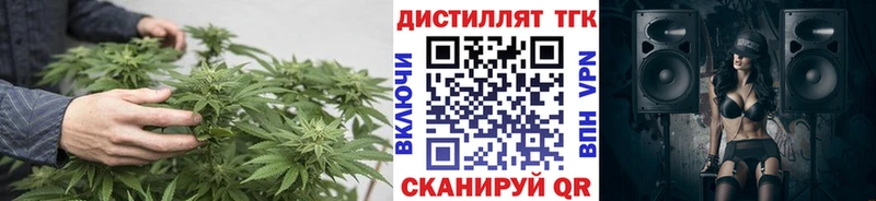 где купить наркотик  Нолинск  блэк спрут ССЫЛКА  ТГК вейп с тгк 