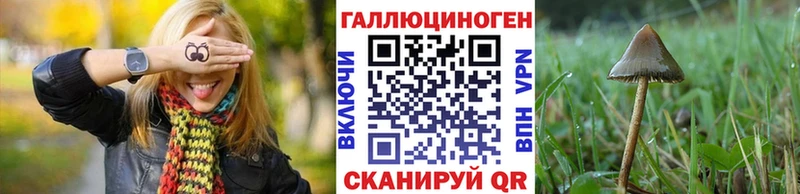 mega tor  Нолинск  Галлюциногенные грибы GOLDEN TEACHER 